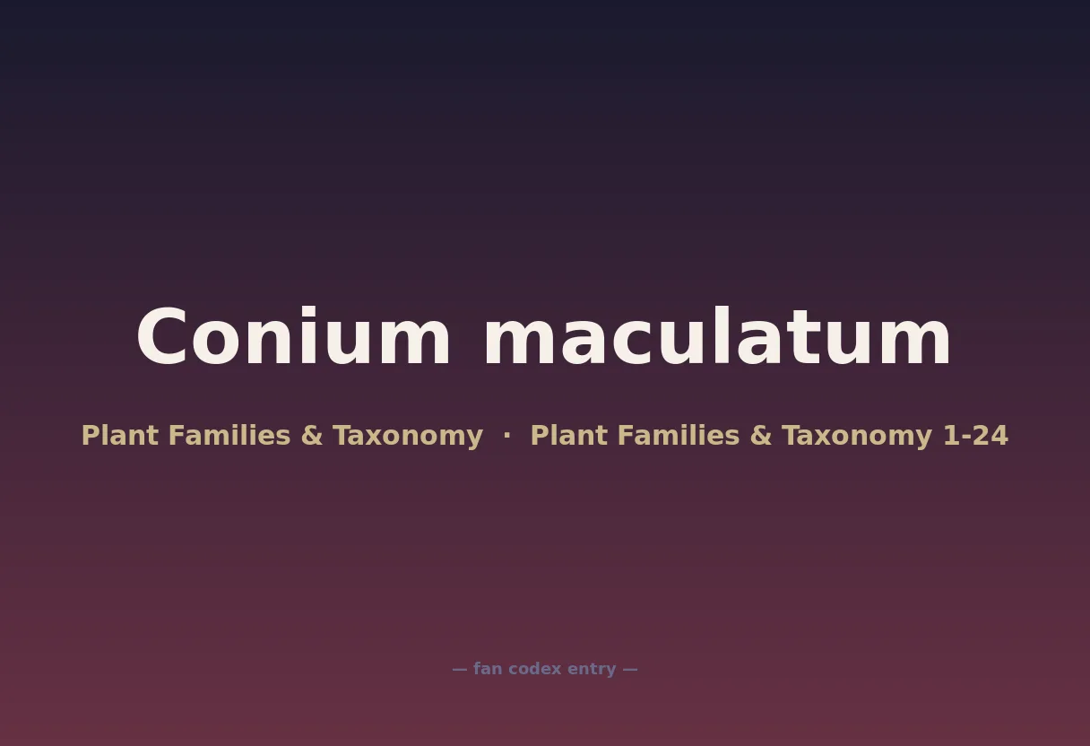 Conium maculatum