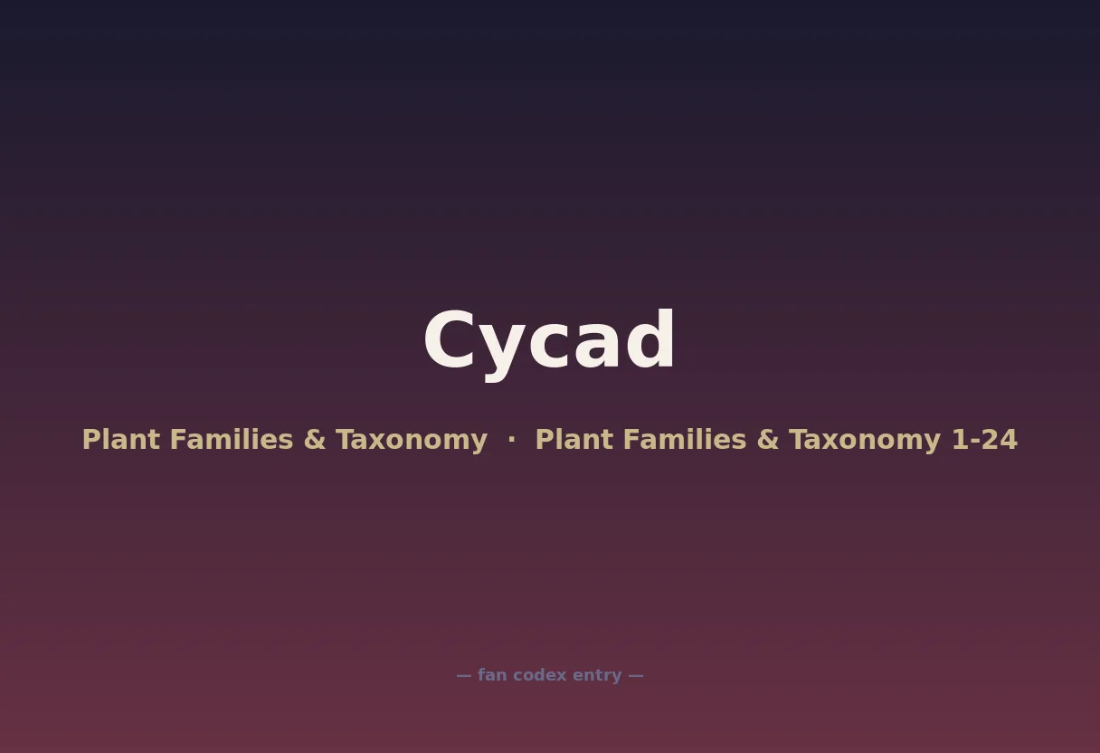 Cycad