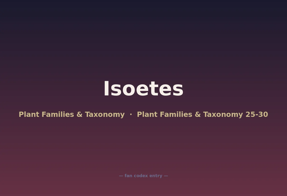 Isoetes